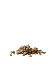 Junior au poulet 10kg - Aliments pour chiens - MB Wood