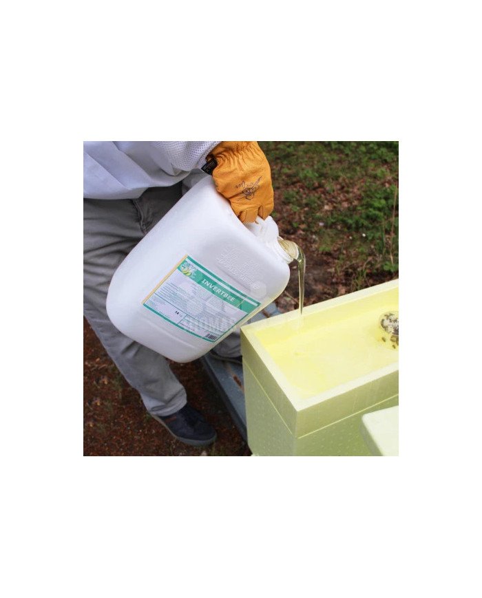Sirop de nourrissement Invertbee - MB Wood