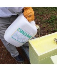 Sirop de nourrissement Invertbee - MB Wood